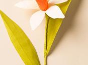 Make Paper Flower Daffodil