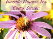 Favorite Flowers Every Season