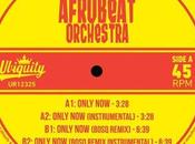 Warsaw Afrobeat Orchestra “Only (Bosq Remix)”