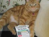 Master Bo'sun Lionel Flea Very