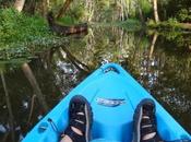 Views from Kayak Kerala Backwaters Photo Essay