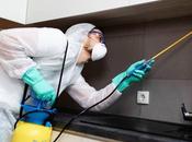 Eradicate Pests with Reliable Pest Control Services