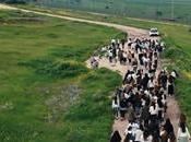 Naomi Shemer's Shiro Shel Abba (Yibaneh Hamikdash) Ulpanat Tzviya Habikaa (video)