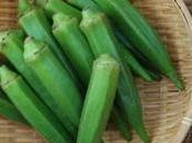 Consume Okra Dealing With These Dangerous Diseases”