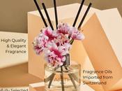 Avoid These Mistakes Stop Affecting Outcomes Reed Diffusers