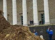 Massive Pile Poop Dumped Outside French National Assembly