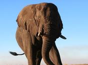 2014 Mystery Destination Revealed!