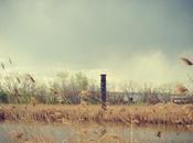 That Remains Kingsland Munitions Factory Leveled German Spies January 1916?