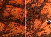 'Jelly Doughnut' Discovered Mars