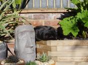 Those Were Innocent Days