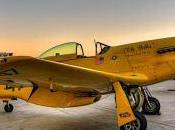 North American P-51D Mustang “Ole Yeller”