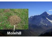 Molehills into Mountains