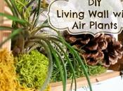 Living Wall with Plants