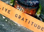 Picture Perfect: Live Gratitude