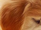 Nutritional Facts Get-Fit Tips List