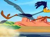 Road Runner: BEEP
