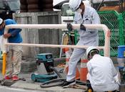 From View-blocking Screens Fake Bugs, Locals Taking Overtourism into Their Hands