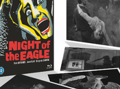Night Eagle Special Edition Releseas News