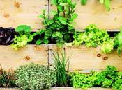 Rise Vertical Gardens: Maximizing Space Style
