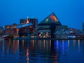 Best Locals Bars Restaurants Baltimore