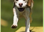 #WonderfulWednesday: Wise Words