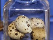 Brown-Headed Cowbird Eggs