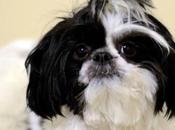 Keeping with Photogs..