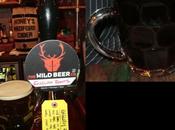 Tasting Notes: Wild Beer English Roots