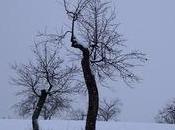 Winterreise: Johannes Martin Kränzle Hilko Dumno Frankfurt