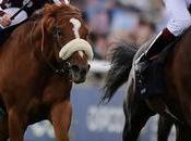 Ranked: Most Popular Sports World