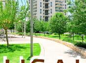 Talpiot Neighborhood. Hidden Southern Jerusalem. (video)