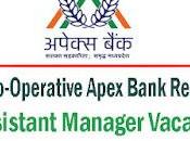 Apex Bank Recruitment 2024 Assistant Manager Vacancy