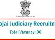 Hojai Judiciary Recruitment 2024 Apply Peon Posts