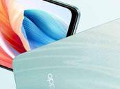 Unlike Chinese Model, Oppo Will Launched India with Facelift, Leaked Image