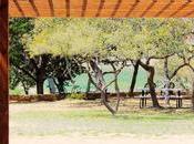 Toja Grid Linx: Which Modular System Fits Your Outdoor Design Needs?