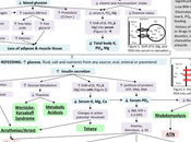 Refeeding Syndrome Mnemonics