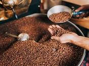 Bean Connoisseurs: Exploring Best Types Coffee