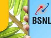 Coming Back BSNL, Jio, Airtel Also Reduce Debt