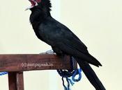 Advice Unsolicited !!!!