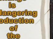 Vanilla Bean Being Endangered Climate Change