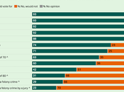 Trump's Felony Charges Convictions Problem