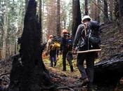 Wildfires Continue Iconic Pacific Crest Trail, Leading Closures Evacuations