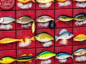 Catch Fish with Lure from Your Advent Calendar, Does That Make Christmas Fish?