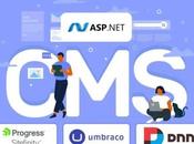 .NET-Based Platforms: Best Choices 2024