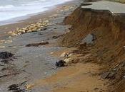 Coastal Adaptation Worst-Case Climate Change