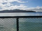 ANGEL ISLAND IMMIGRATION STATION: Poetry Walls