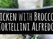 Chicken Broccoli Tortellini Alfredo