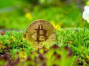 Cryptocurrencies Ever Green?