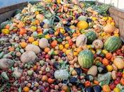 Problem With Food Waste Grand Scale