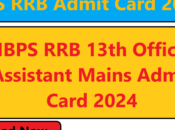 IBPS 13th Office Assistant Mains Admit Card 2024